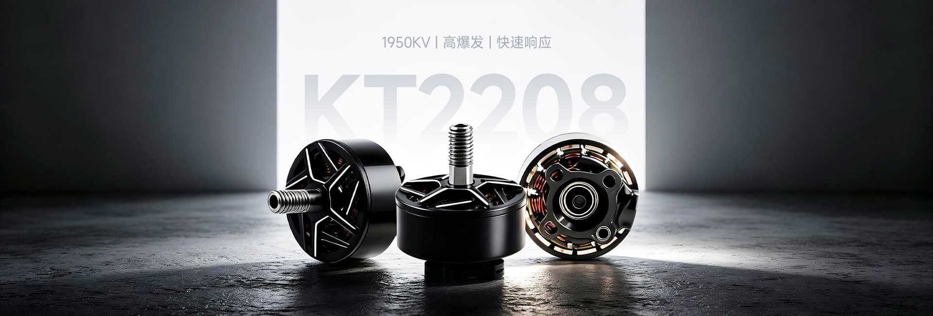 KT2208-1950 detail 1