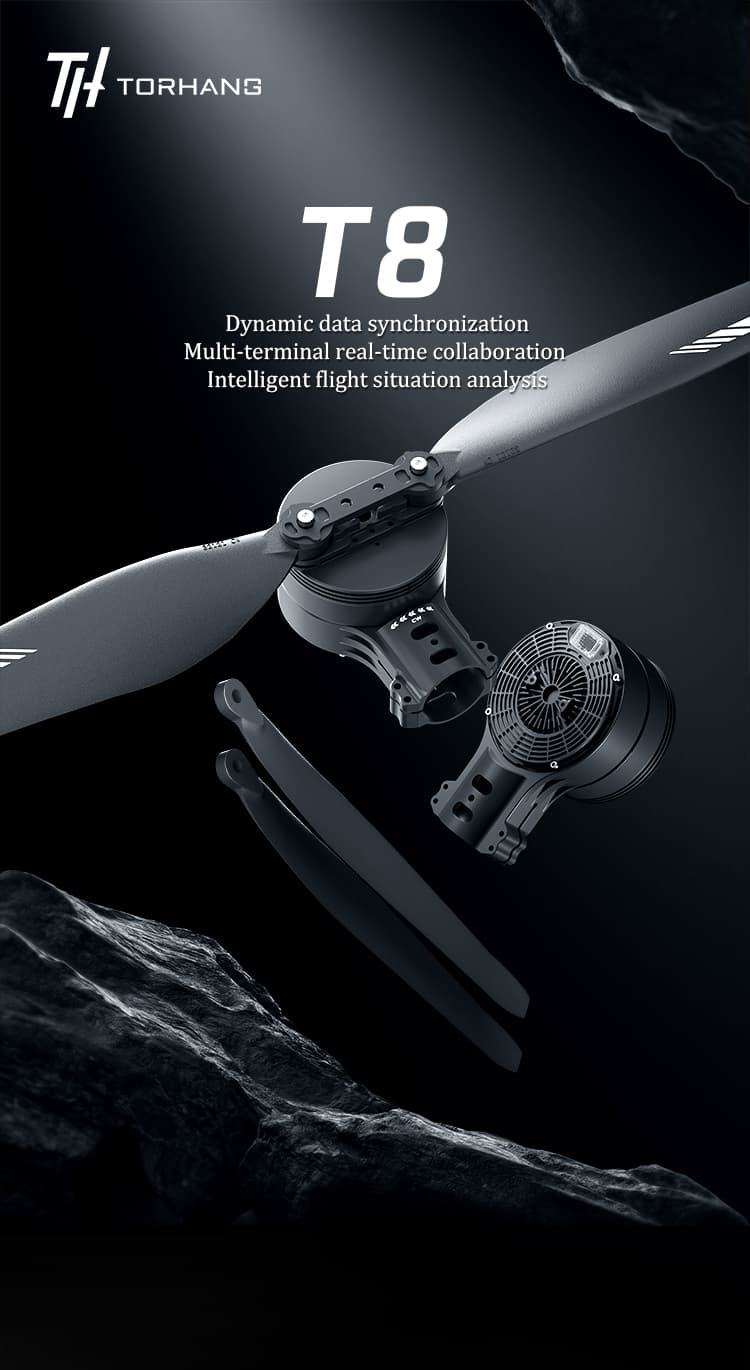 T8 detail 1